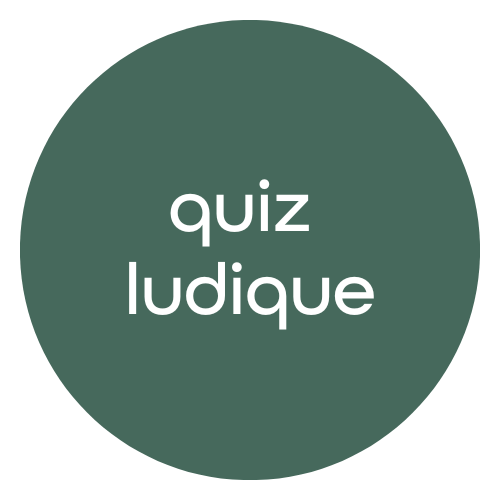 Quiz ludique