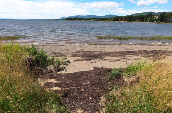 plage d'un lac