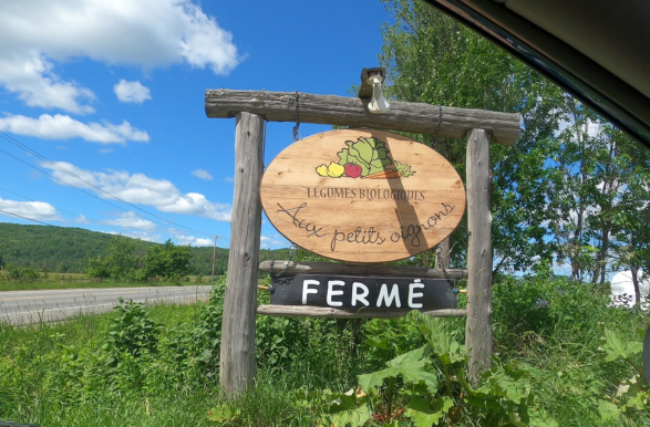 panneau aux petits oignons