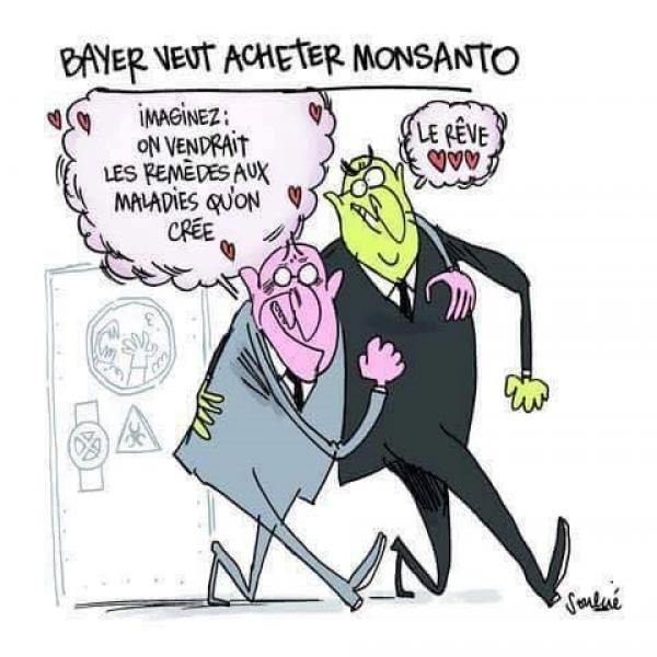 Bayer veut racheter Monsanto pour 86,9 milliards de $ CA, cette nouvelle fusion crée le nouveau numéro un mondial des semences et des pesticides.