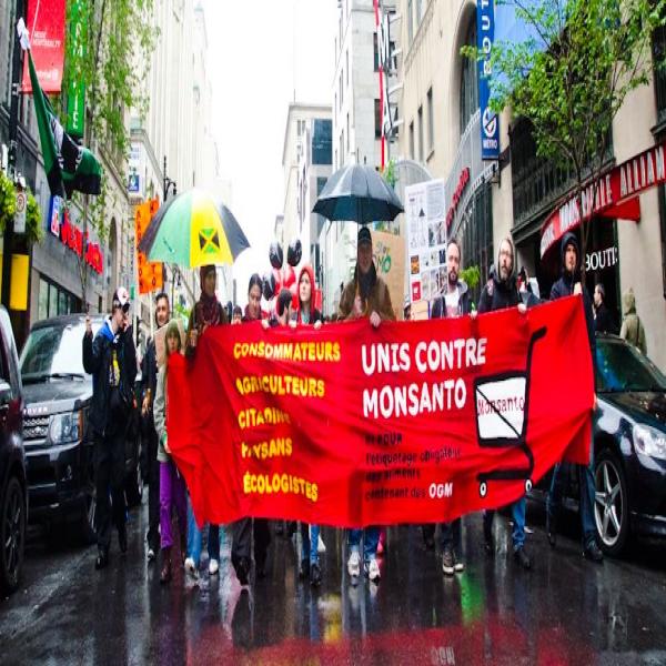 Marche Mondiale contre Monsanto le 25 mai 2013