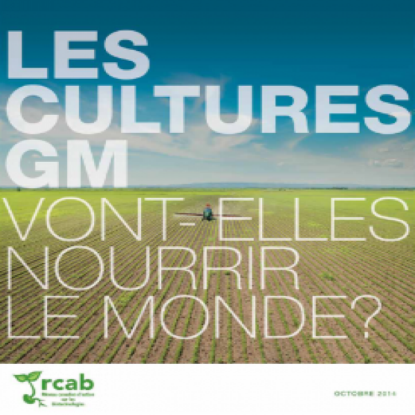 RAPPORT: Les cultures OGM , nourrissent-elles le monde ?