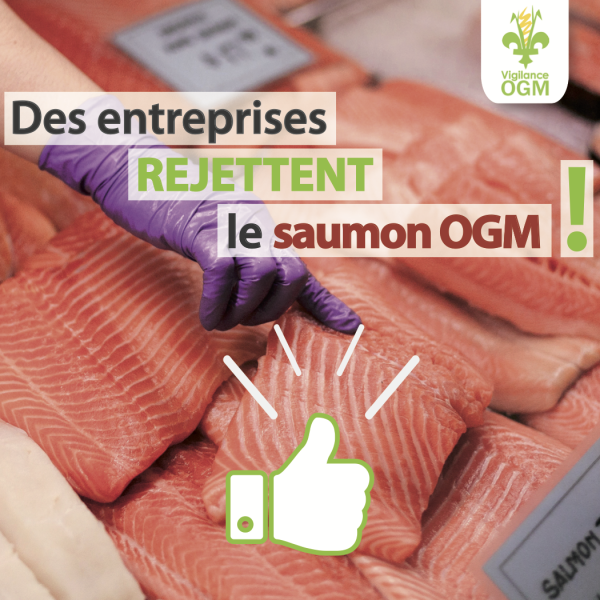 entreprisent rejettent le saumon OGM