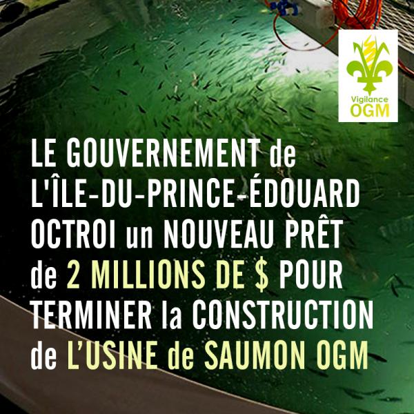 Gouvernement prête 2 millions $ pour usine saumon OGM