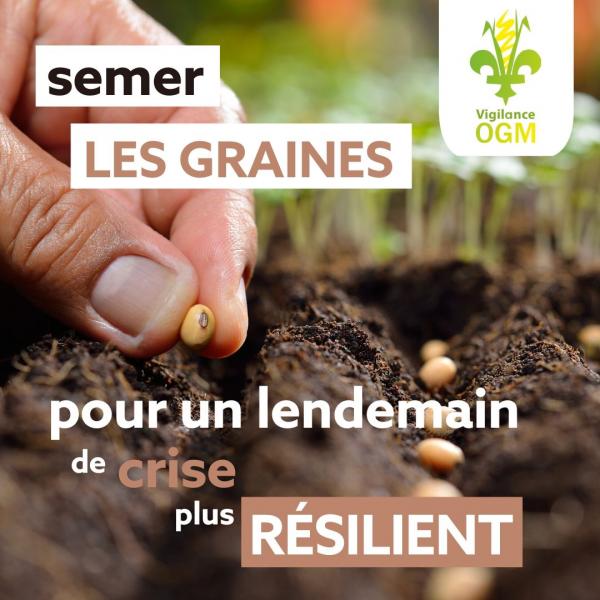 semer les graines