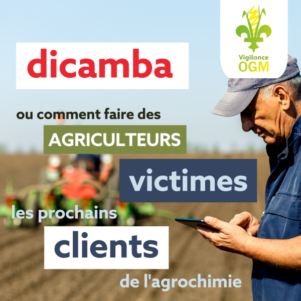 dicamba dérive du sytème