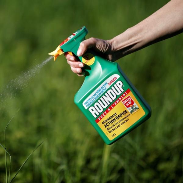 glyphosate bayer plaide coupable