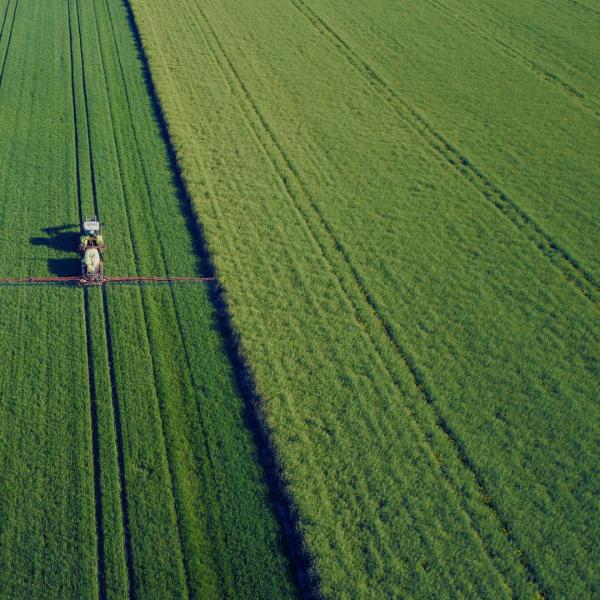 champ vert avec un tracteur