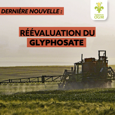 Scandale: Santé Canada vient d’annoncer aujourd’hui sa décision de réévaluation du glyphosate pour 15 ans.