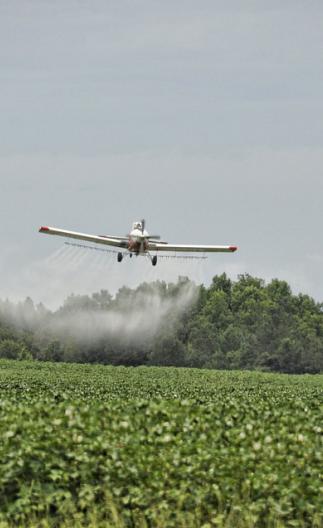 pesticides